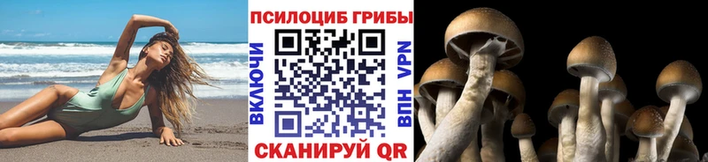 Галлюциногенные грибы мицелий  Губкинский 