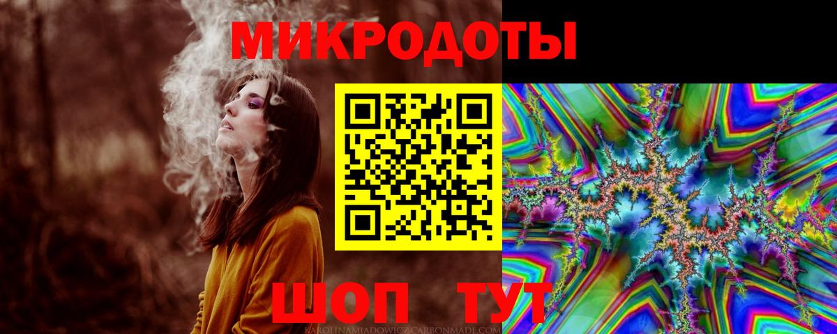 Псилоцибиновые грибы Psilocybine cubensis Губкинский