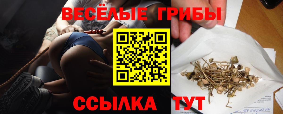 Галлюциногенные грибы GOLDEN TEACHER  Вход с VPN  Псилоцибиновые грибы Magic Shrooms  Губкинский 